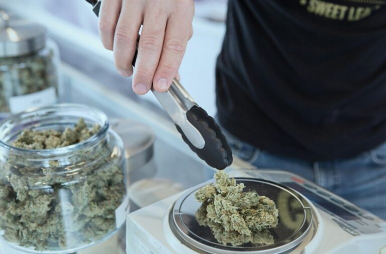 From Flowers to Edibles: A Guide to Offerings at a Quality Cannabis Dispensary